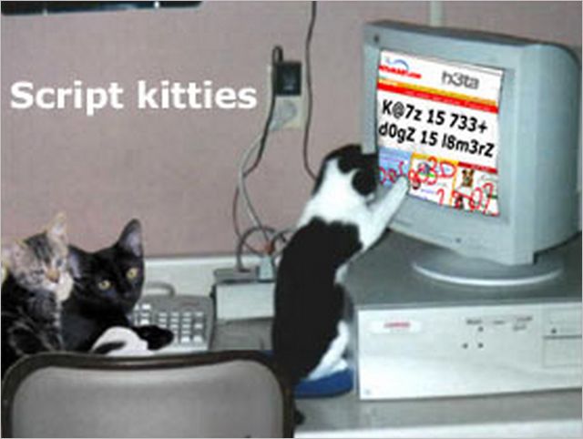 http://www.klynton.com/Funny/computer/images/script-kitties.jpg